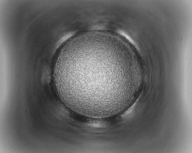 X0000087061213200704181251