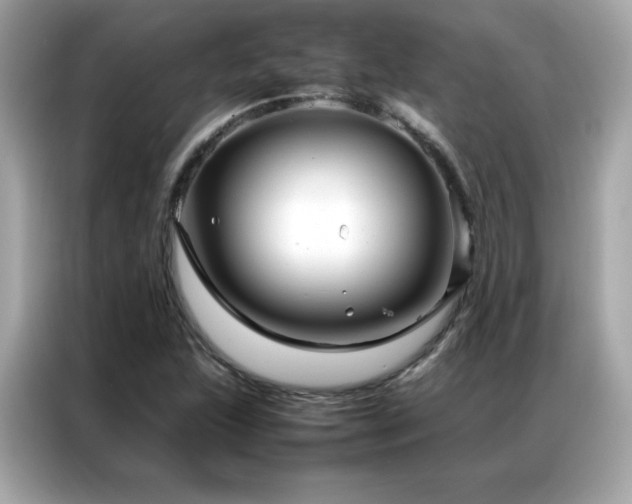 X0000087061215200704181251