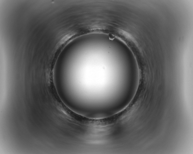 X0000087061217200704181251