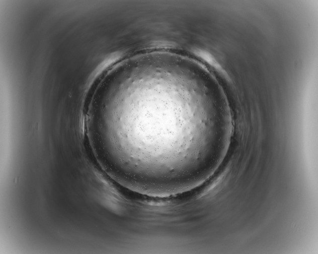 X0000087061221200704181251