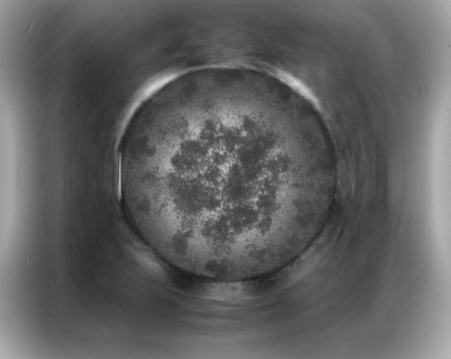 X0000087061223200704181251