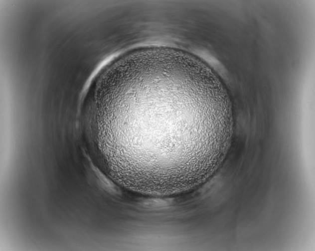X0000087061224200704181251