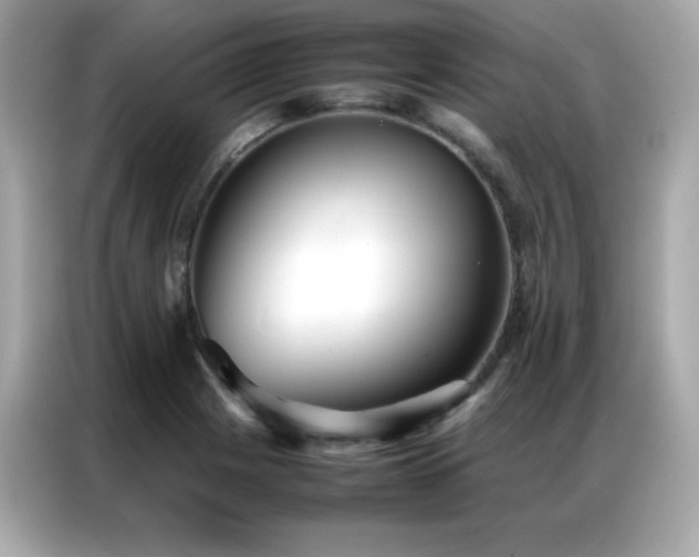 X0000087061225200704181251