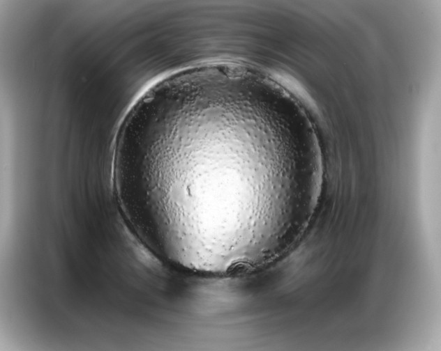 X0000087061228200704181251