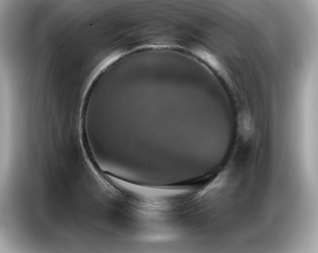 X0000087061229200704181251