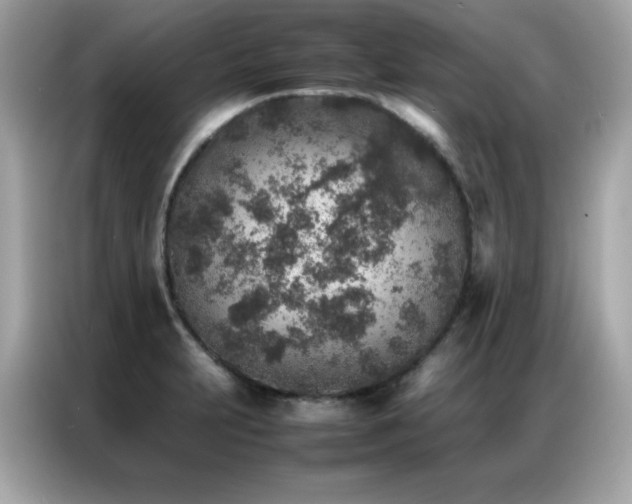 X0000087061231200704181251