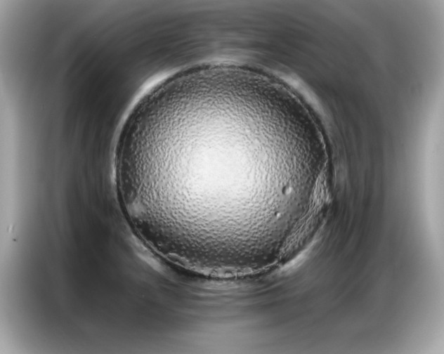 X0000087061232200704181251