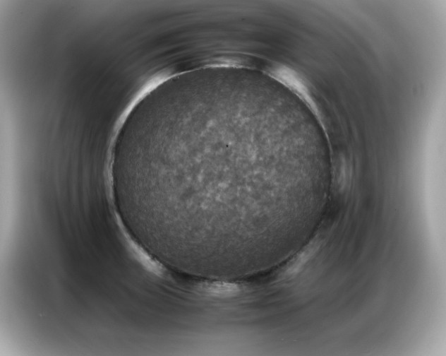 X0000087061235200704181251