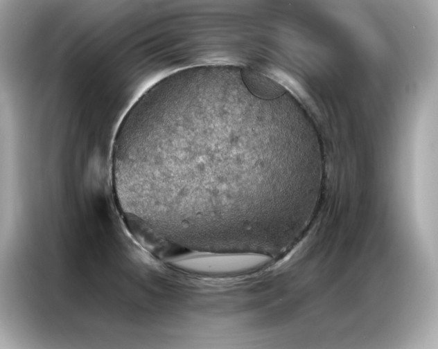 X0000087061236200704181251