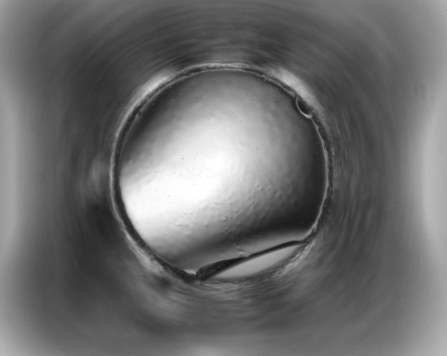 X0000087061237200704181251