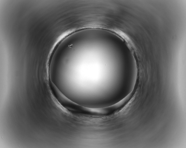 X0000087061238200704181251