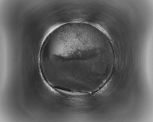 X0000087061239200704181251