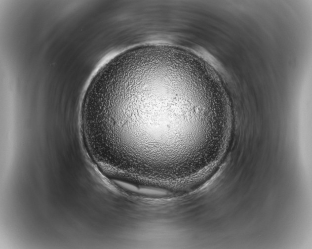 X0000087061240200704181251