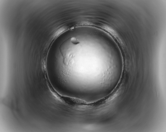 X0000087061241200704181251