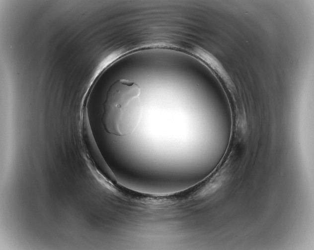 X0000087061242200704181251