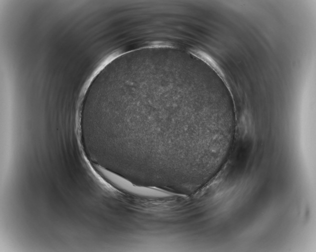 X0000087061243200704181251