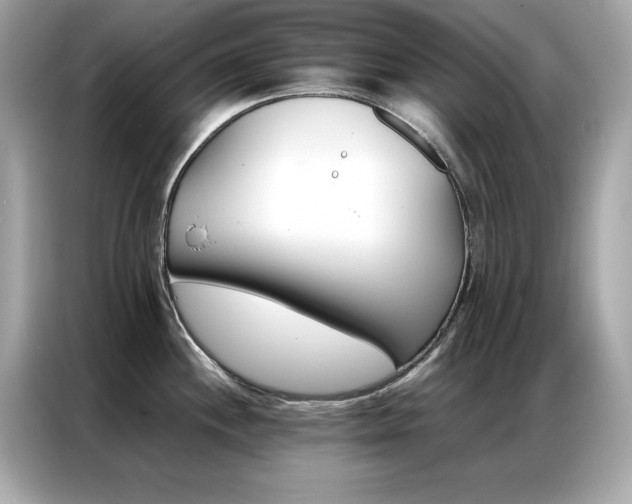X0000087061244200704181251