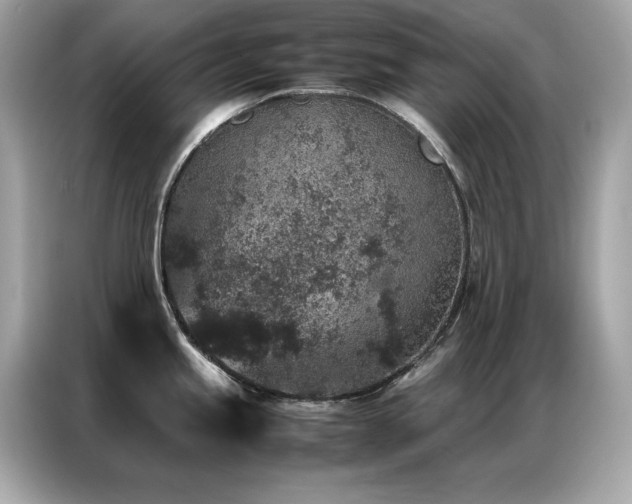 X0000087061245200704181251