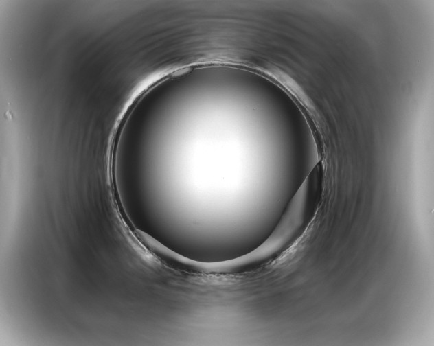 X0000087061246200704181251
