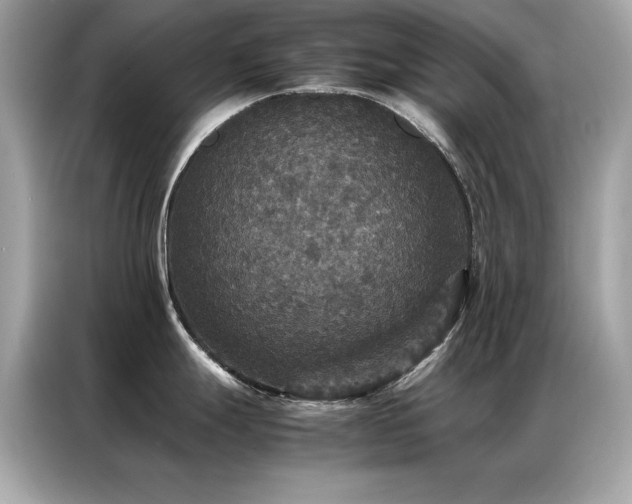 X0000087061247200704181251