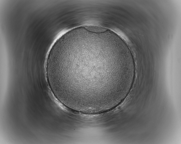 X0000087061248200704181251