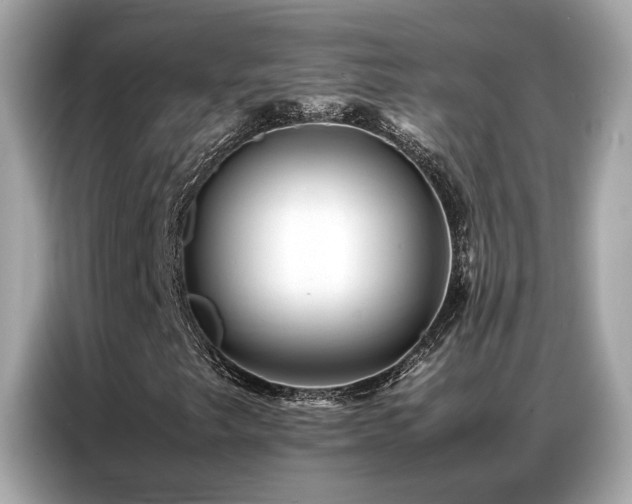 X0000087061249200704181251