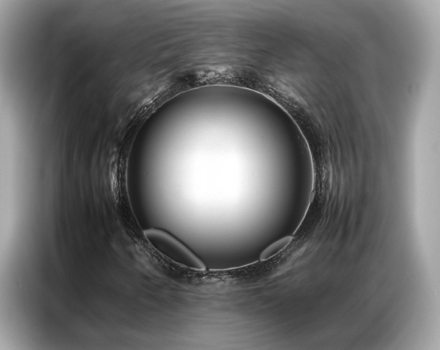 X0000087061250200704181251