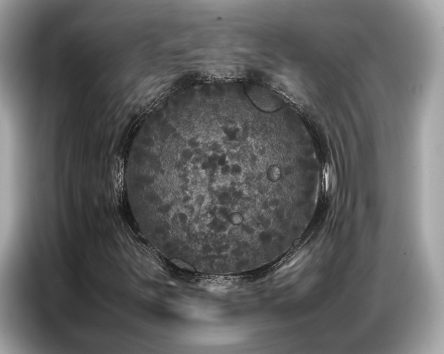 X0000087061251200704181251