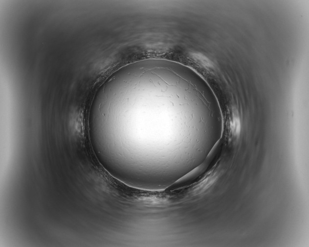 X0000087061252200704181251
