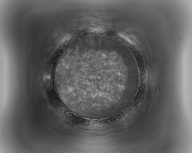 X0000087061254200704181251