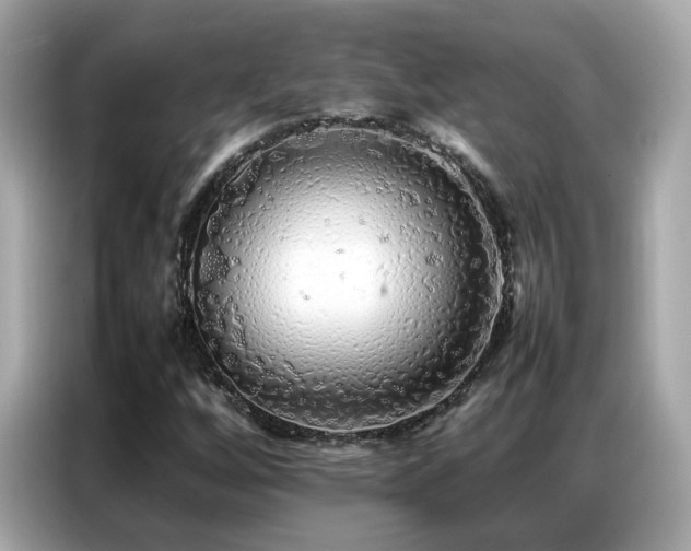 X0000087061256200704181251