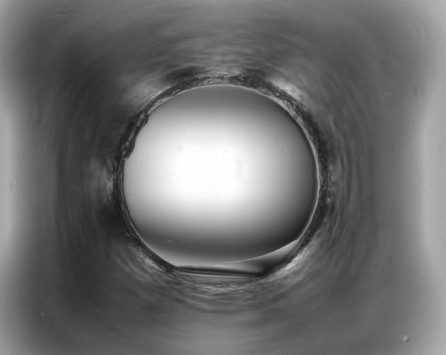 X0000087061257200704181251