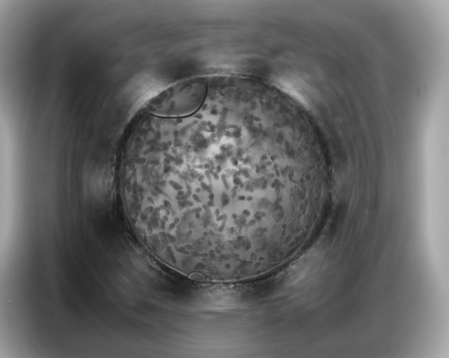 X0000087061259200704181251