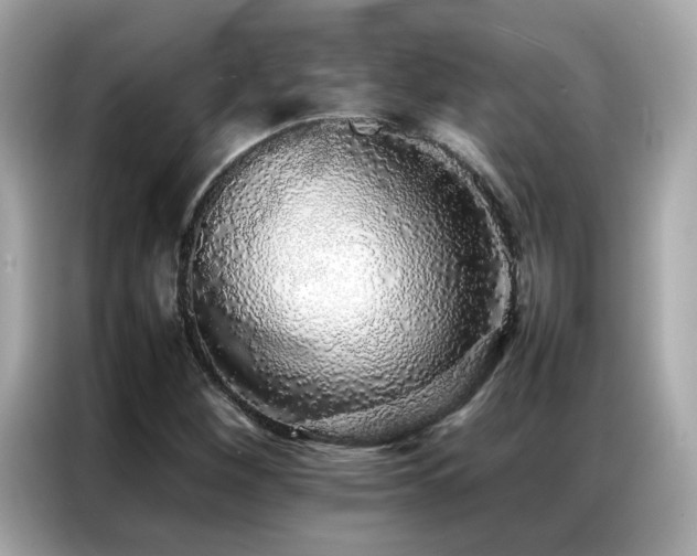 X0000087061260200704181251