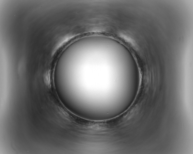 X0000087061262200704181251