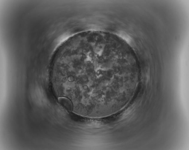 X0000087061263200704181251