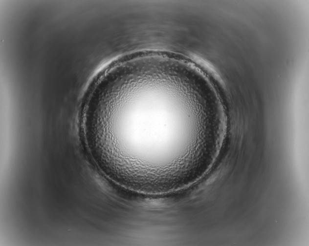 X0000087061264200704181251