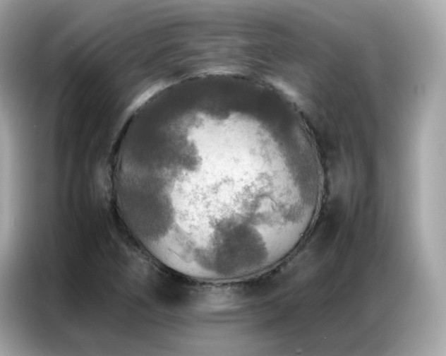 X0000087061266200704181251