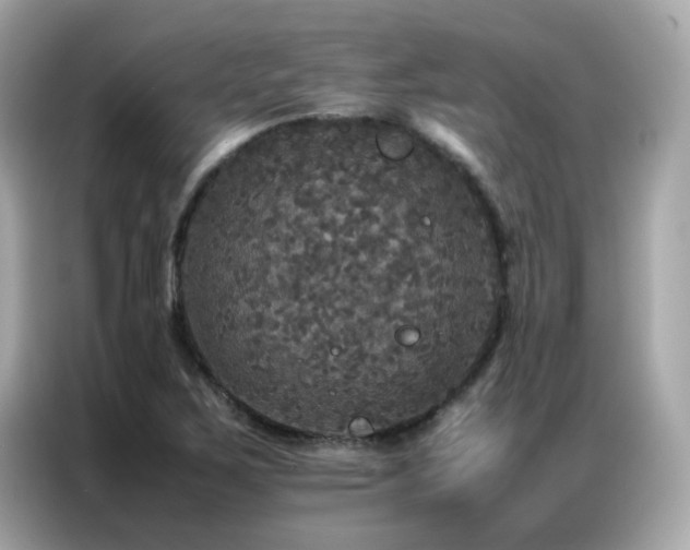 X0000087061267200704181251