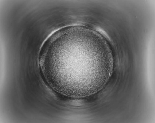 X0000087061268200704181251