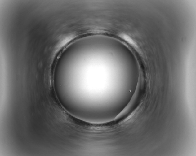 X0000087061269200704181251