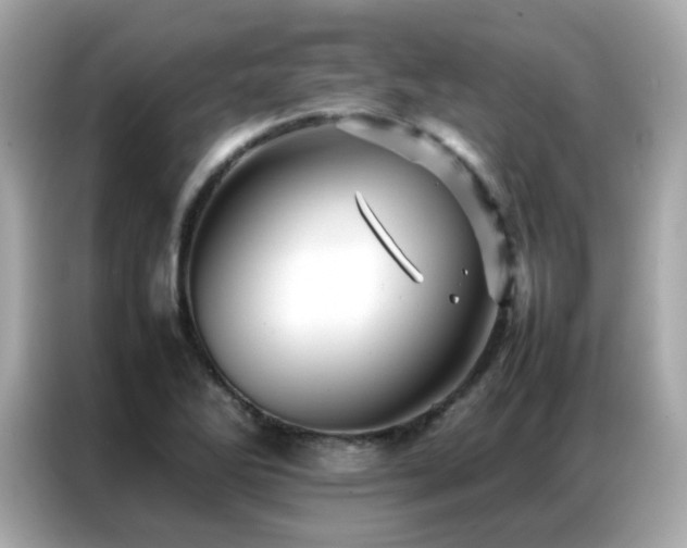 X0000087061270200704181250
