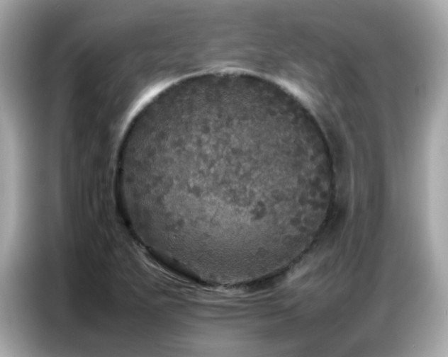 X0000087061271200704181250