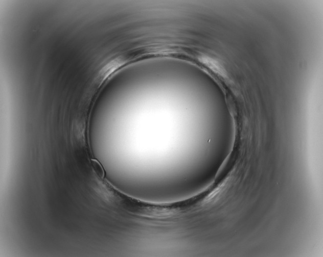 X0000087061273200704181250
