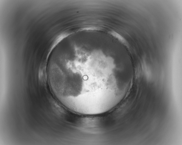 X0000087061274200704181250