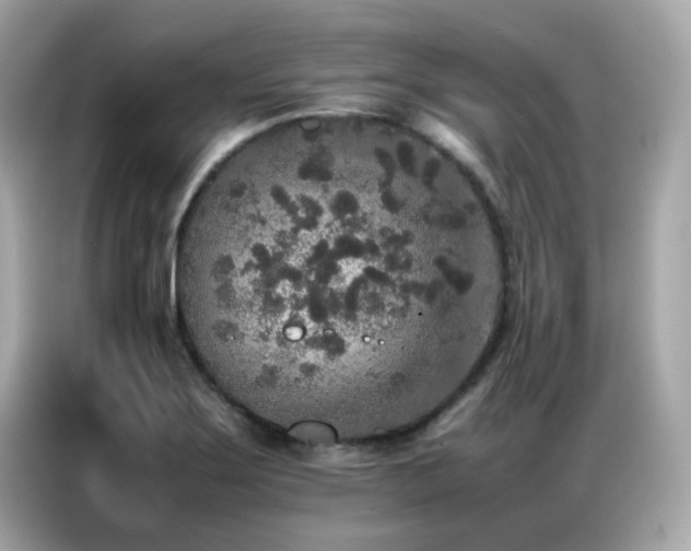 X0000087061275200704181250