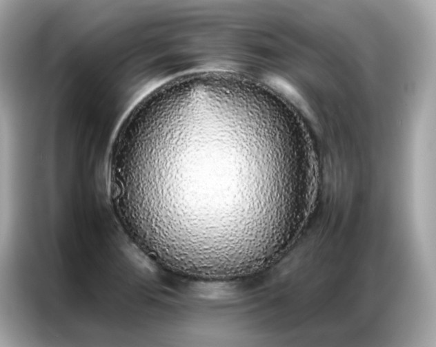 X0000087061276200704181250