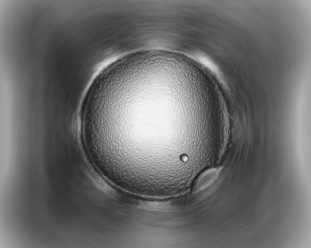 X0000087061280200704181250