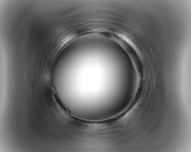 X0000087061281200704181250