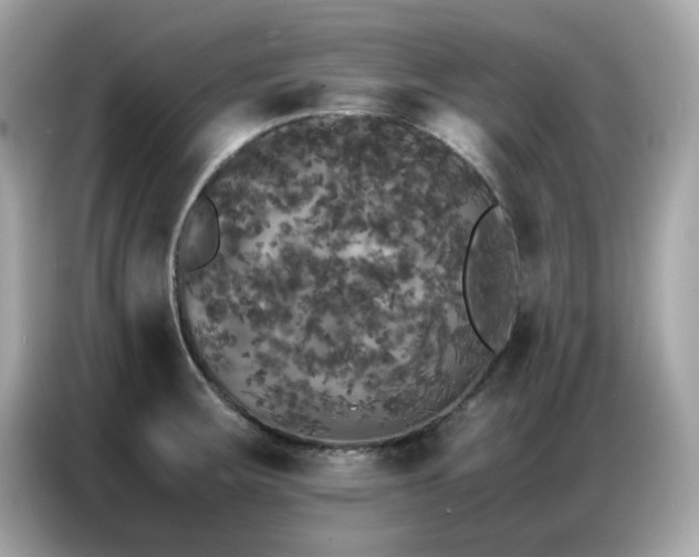 X0000087061283200704181250